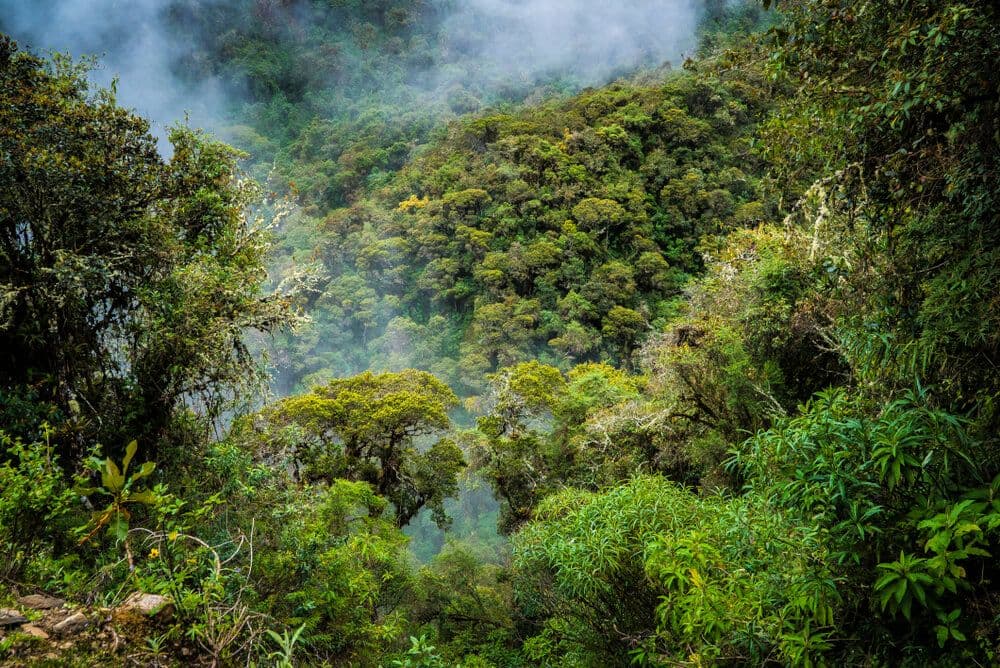  Salkantay Trek