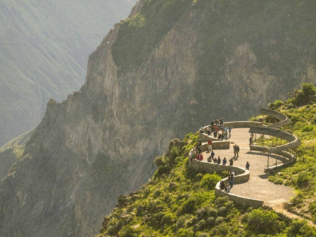  Colca canyon Condor 
