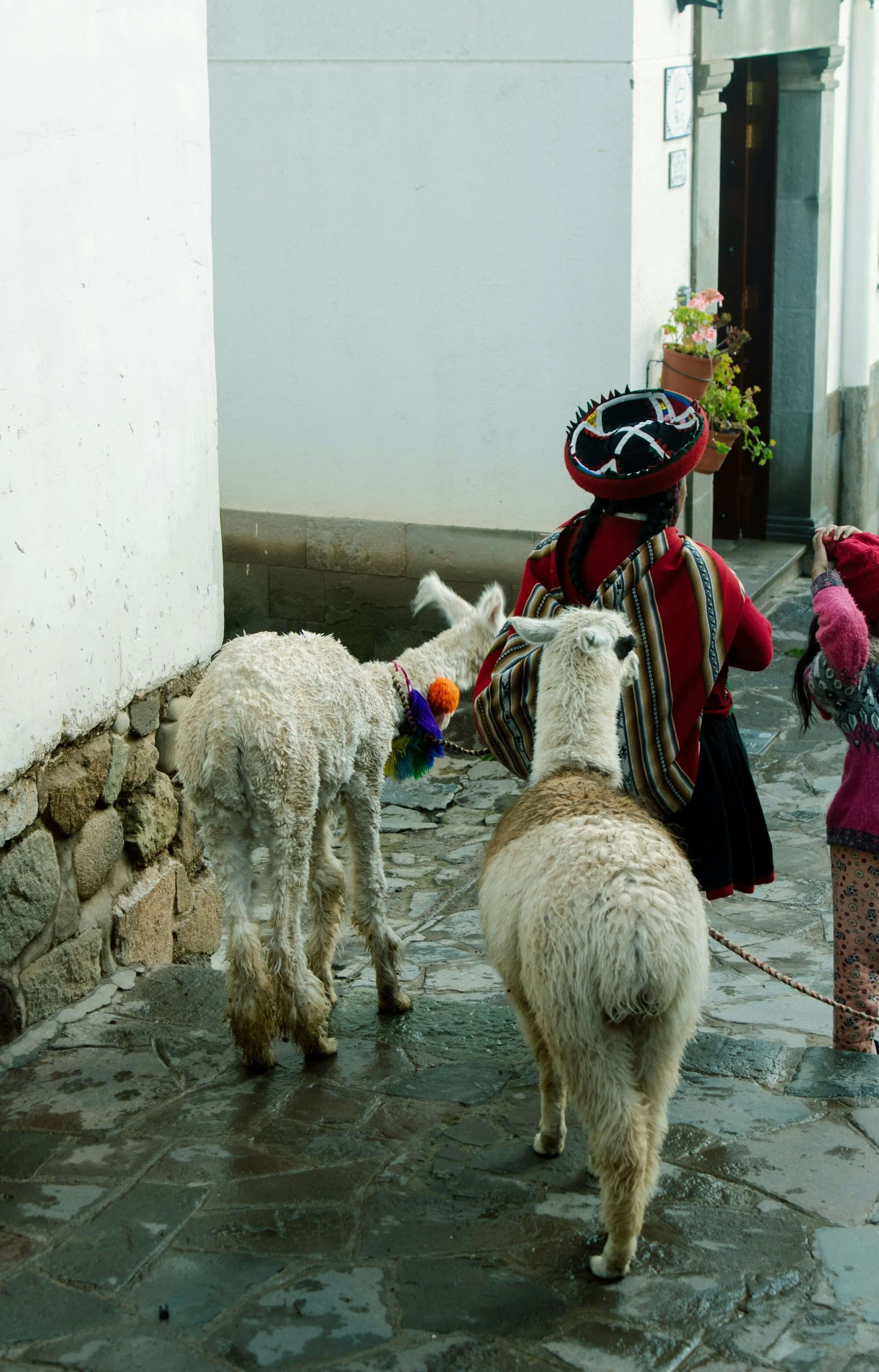 Inti Raymi à Cusco, au Pérou
