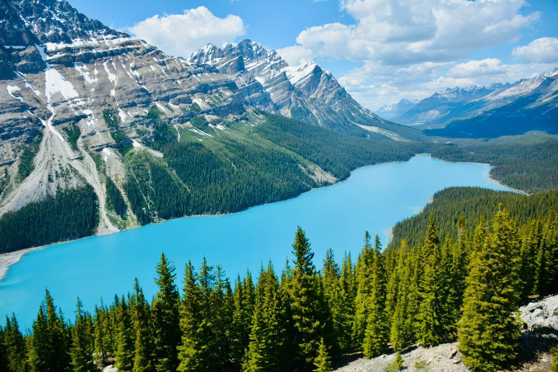 Lac Peyto, Jasper