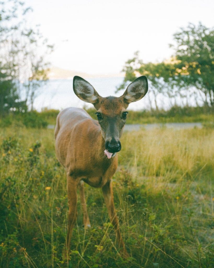 Parc National Bic, Canada