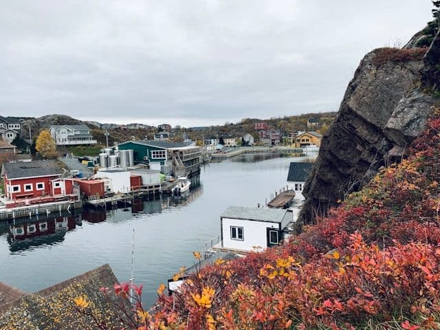 St John's Canada