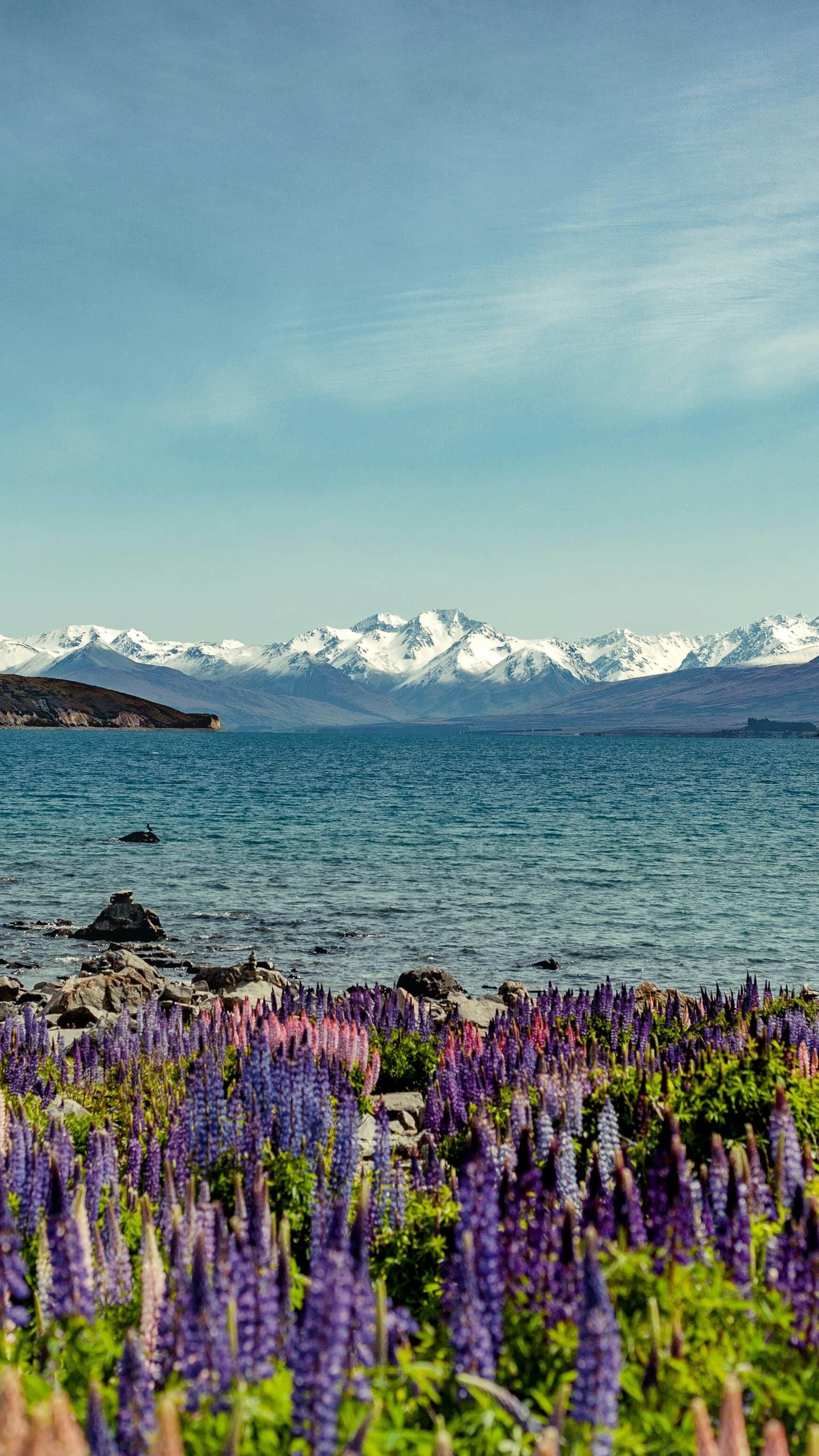 Lake Tekapo