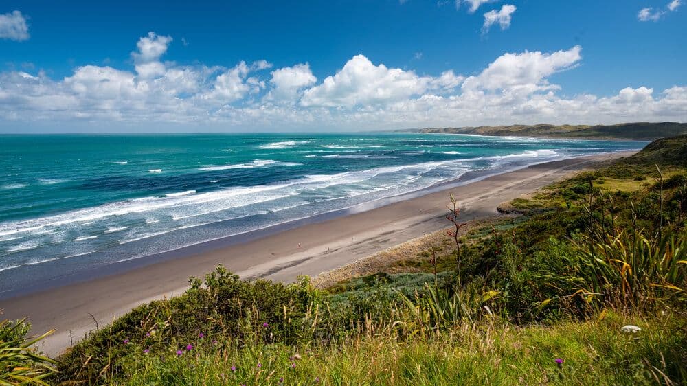 Raglan