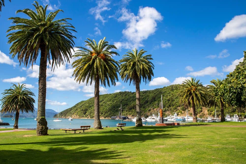  Picton