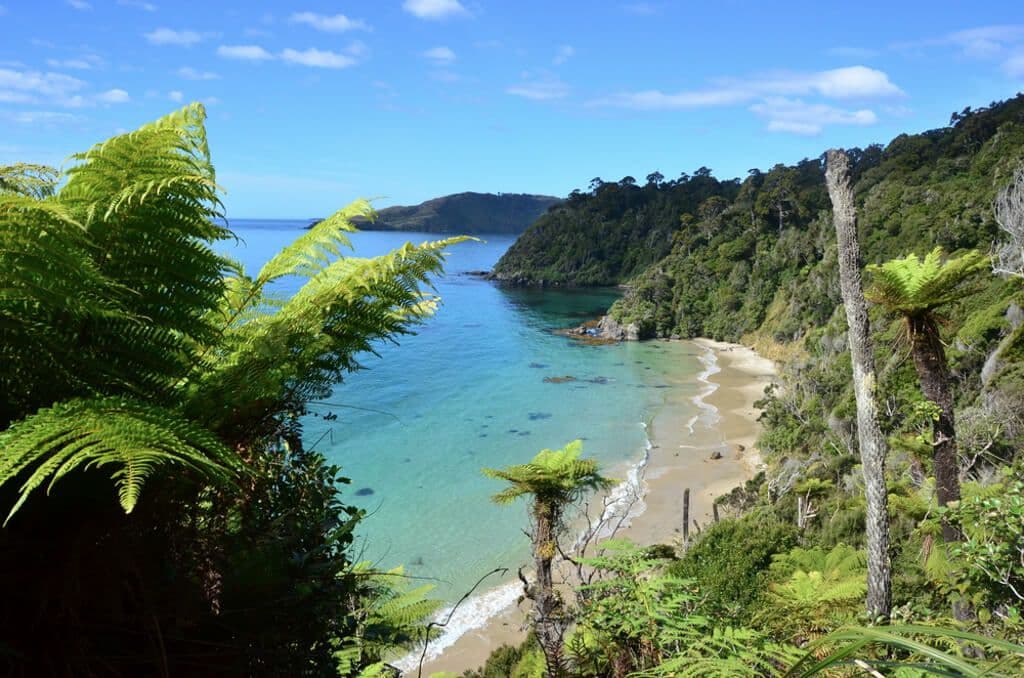 Stewart Island, Nouvelle-Zélande