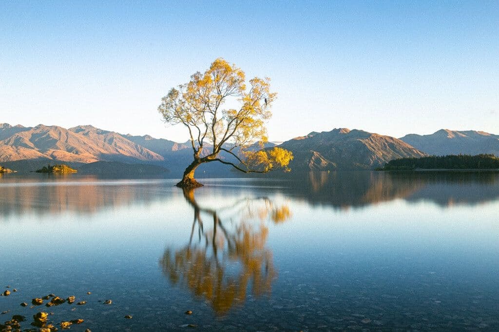 Lac Wanaka