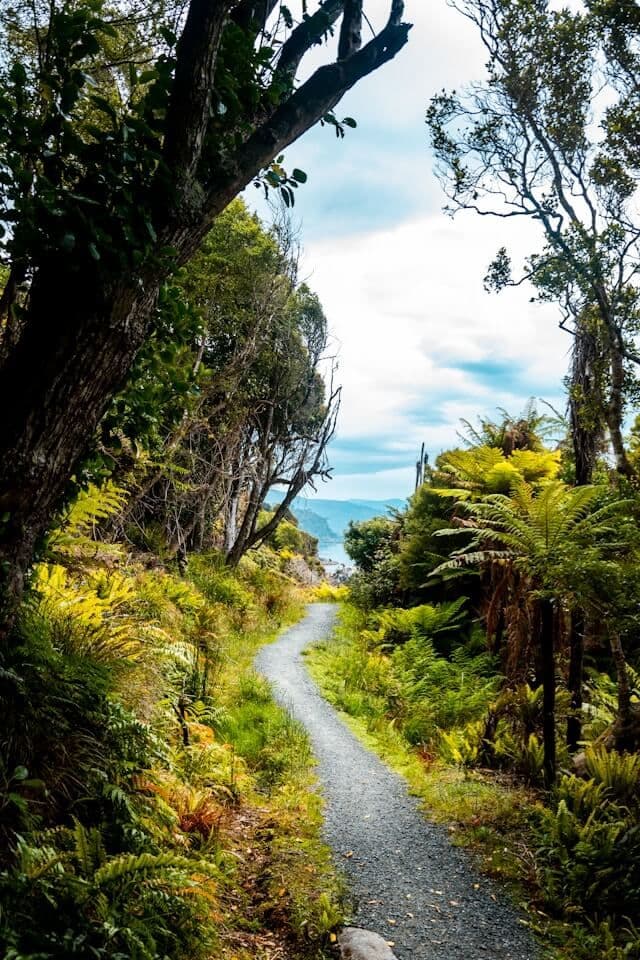 Stewart Island, Nouvelle-Zélande