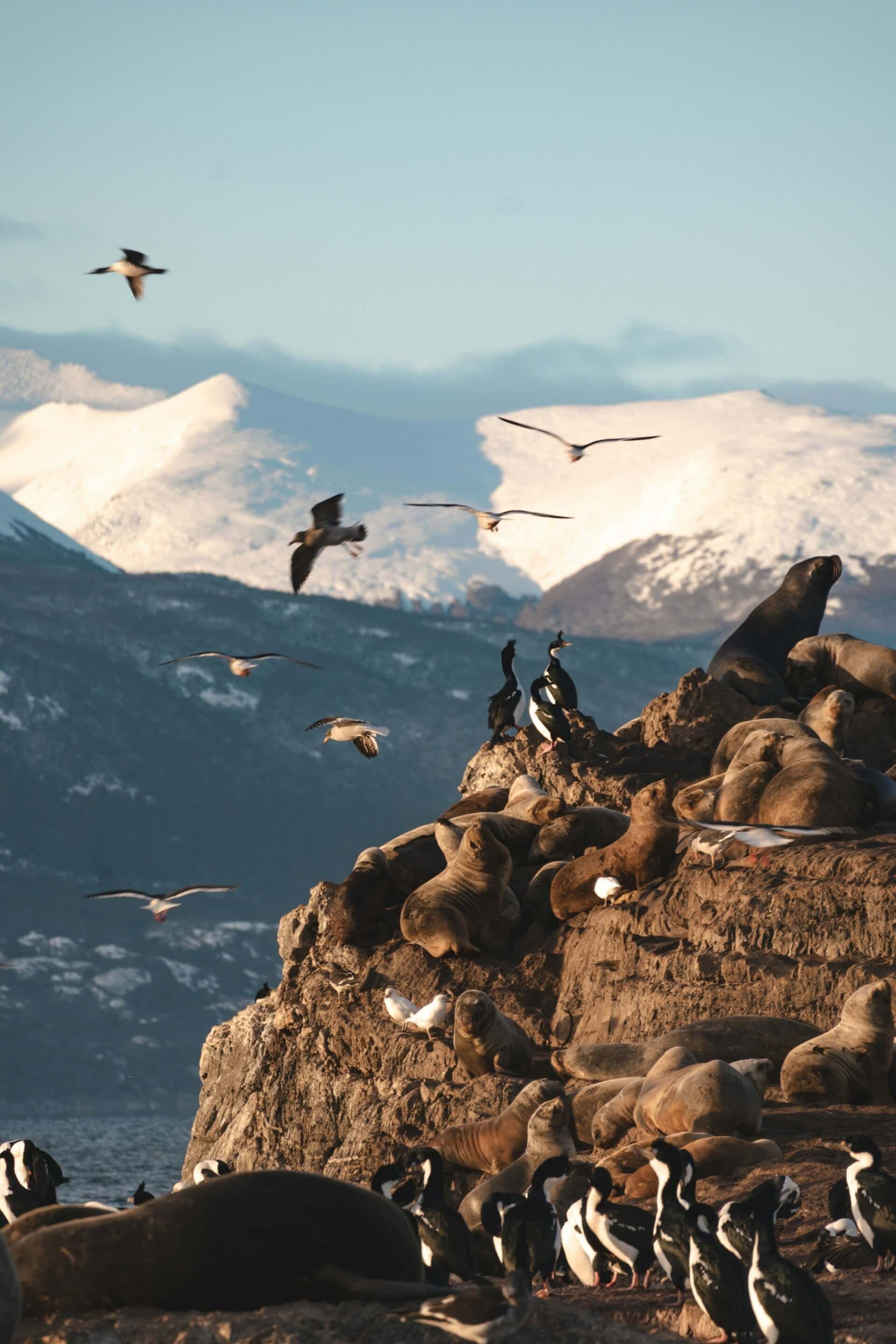 Ushuaia