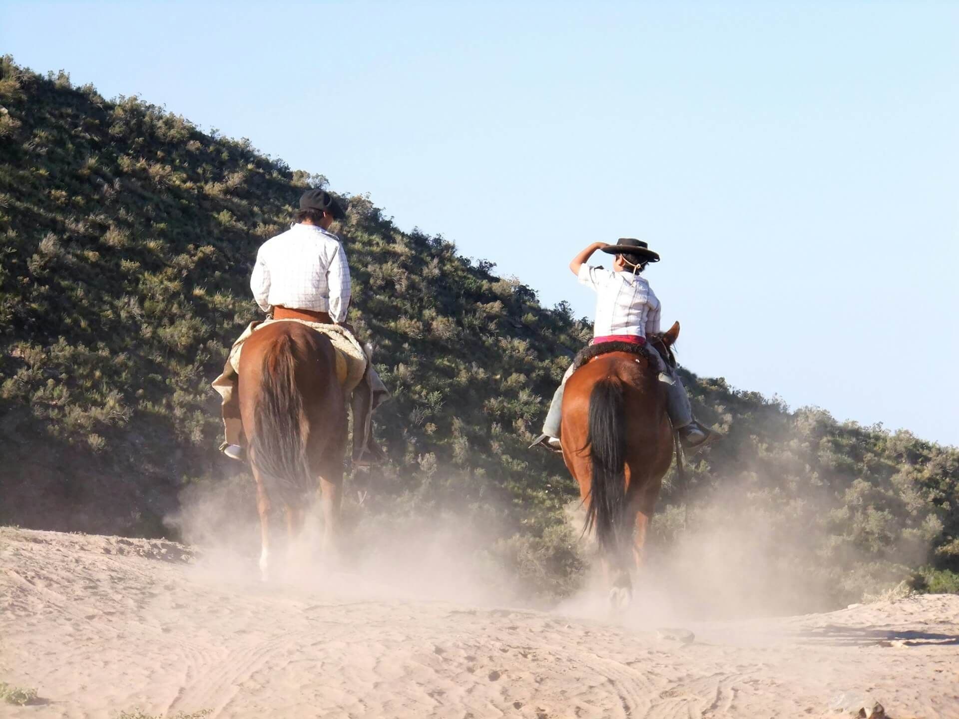 Les gauchos d'Argentine
