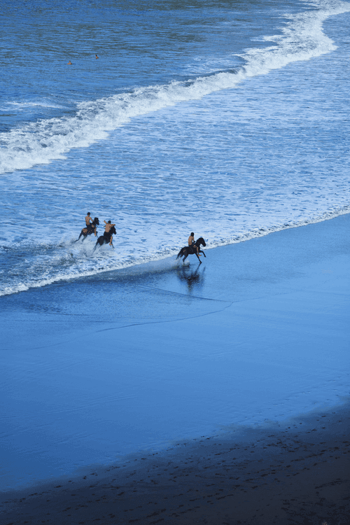 Balade à cheval sur la plage en Polynésie française