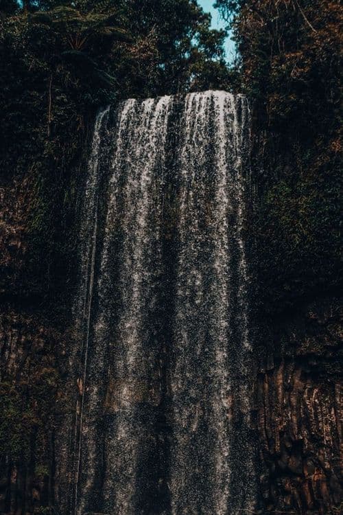 Millaa Millaa Falls, Queensland