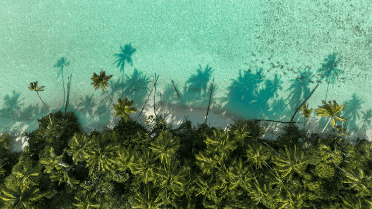 Photo du pays Polynésie Française