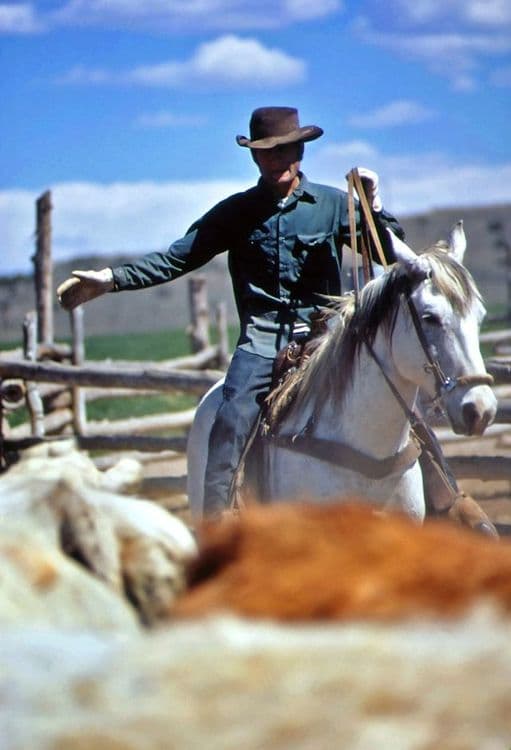 Image illustrant l'article Séjourner dans un ranch aux États-Unis