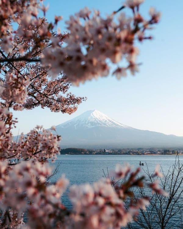 Le Mont Fuji au printemps