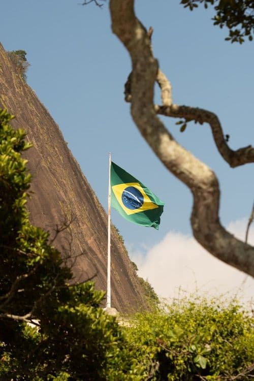 Drapeau du Brésil dans la nature