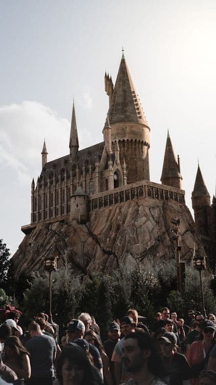 Image illustrant l'article 5 parcs d'attractions à ne pas manquer aux Etats-Unis