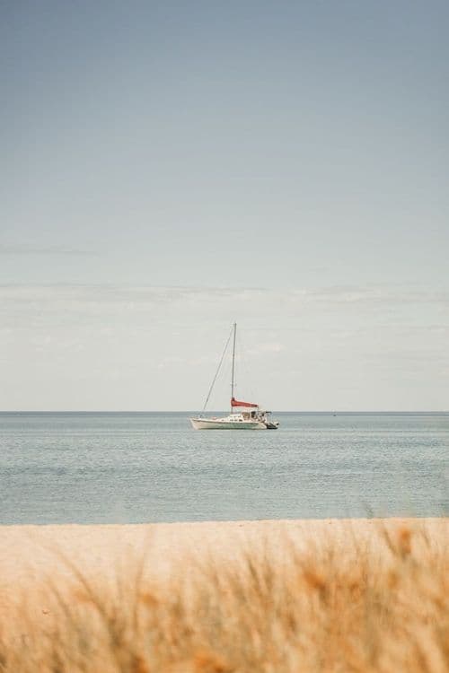 Monkey Mia, Australie