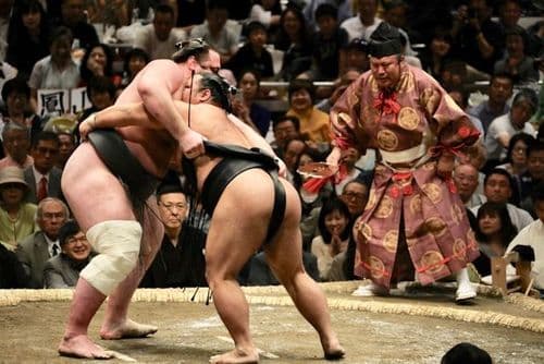 Combat de sumo