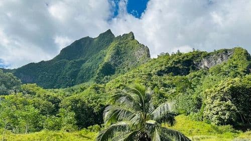 Moorea, French Polynesia