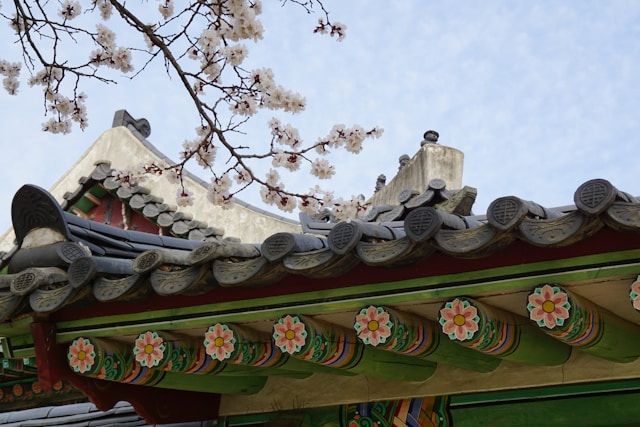 Image illustrant l'article Quand partir en Corée du Sud ? Guide des différentes saisons