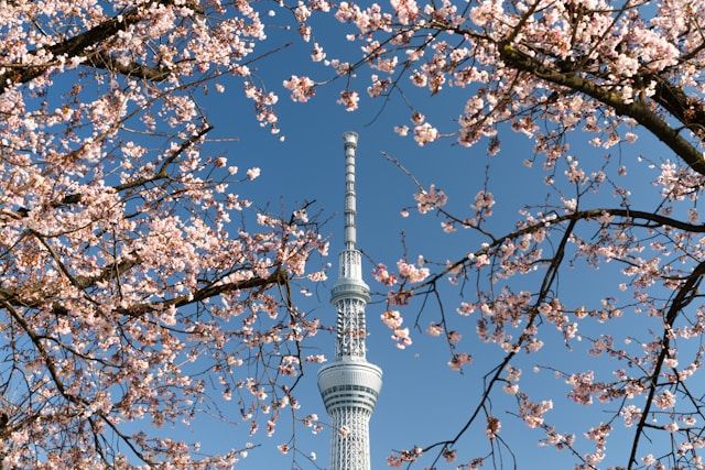 Tokyo-skytree