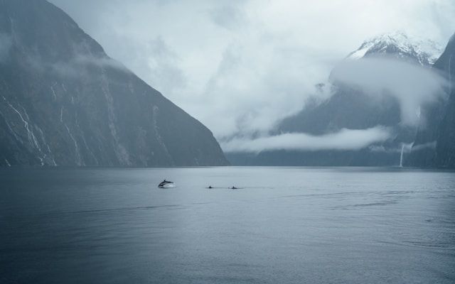 Fiordland