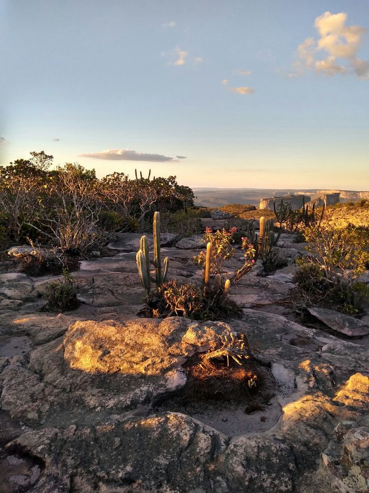 Image illustrant le guide Caatinga & le parc national de Chapada Diamantina