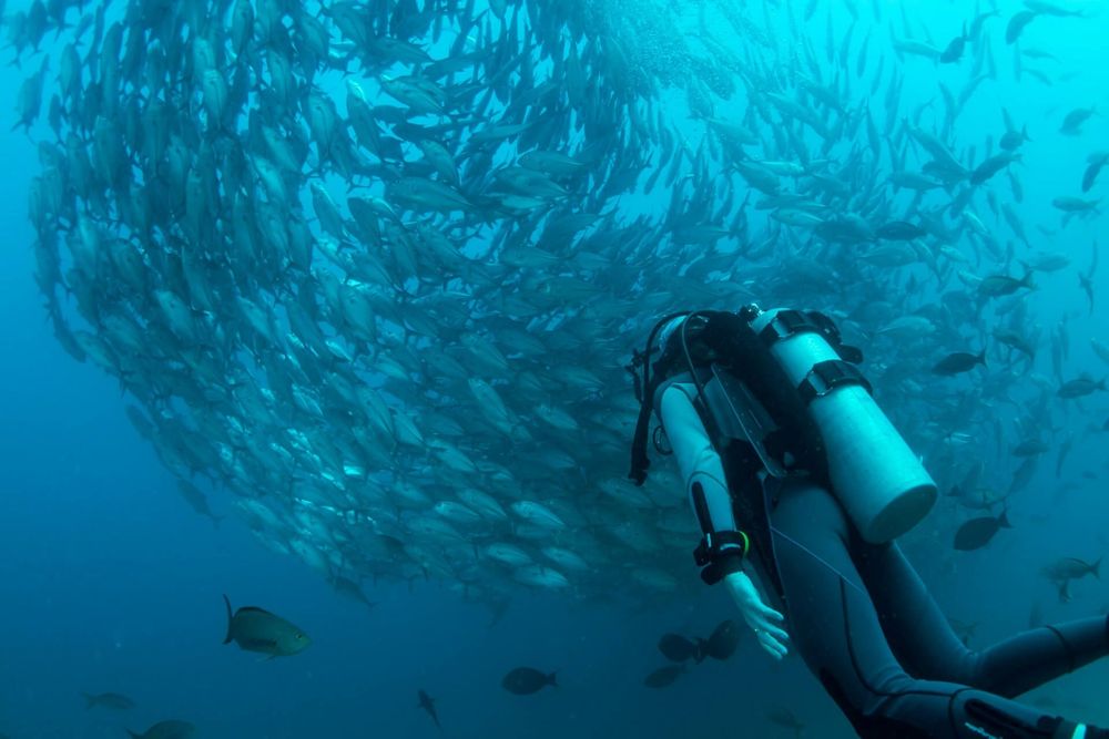 Cabo Pulmo, Baja Calfornia, Mexique