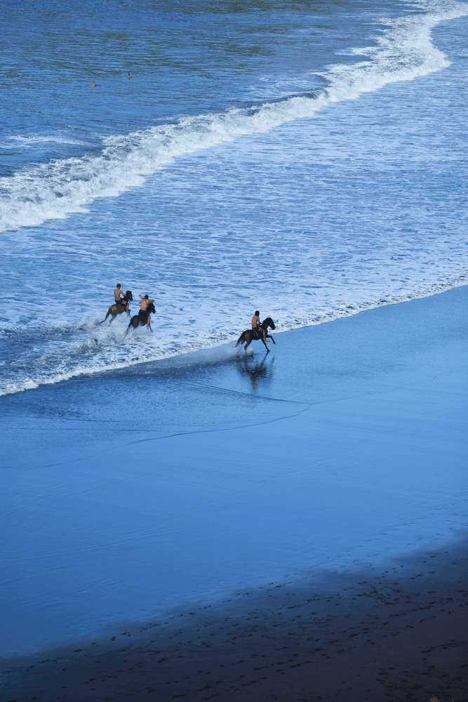 Balade à cheval sur la plage en Polynésie française