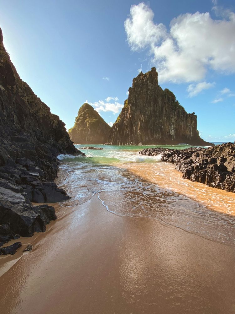 Image illustrant le guide Fernando de Noronha