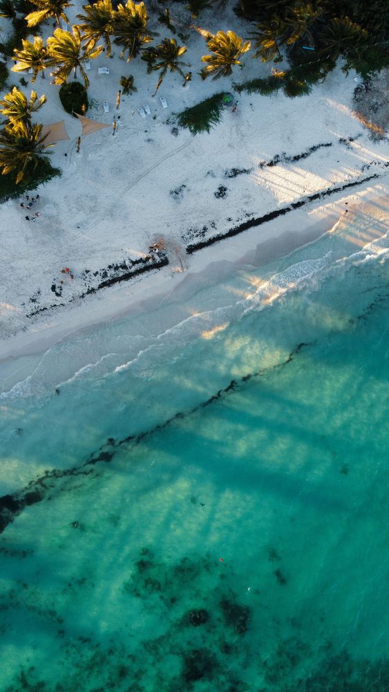 Image illustrant le guide Playa del Carmen