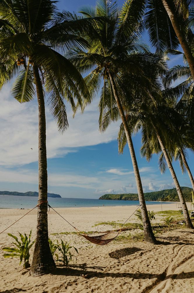 Image illustrant le guide Guide de Tahiti