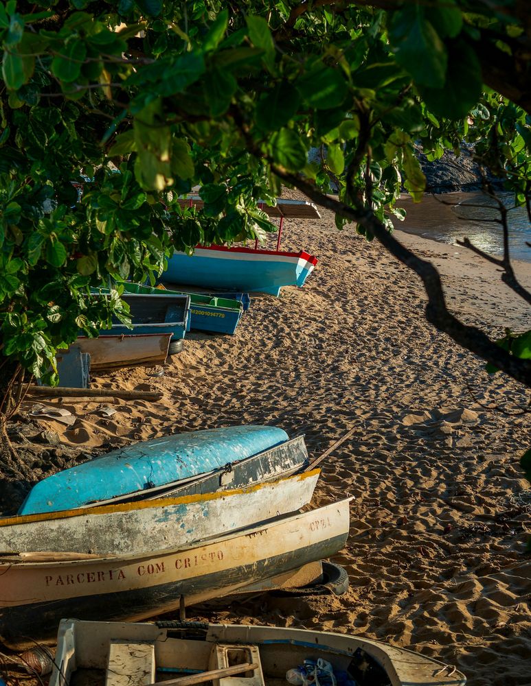 Image illustrant le guide Guide Salvador de Bahia