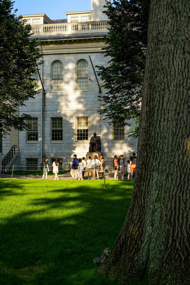 Image illustrant l'article Back to school, la rentrée universitaire aux États-Unis