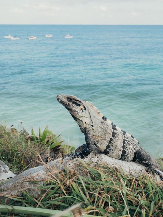 Quintana Roo, Mexico