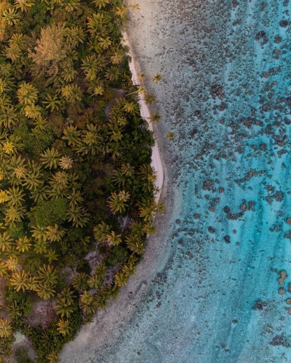 Les îles de la Société