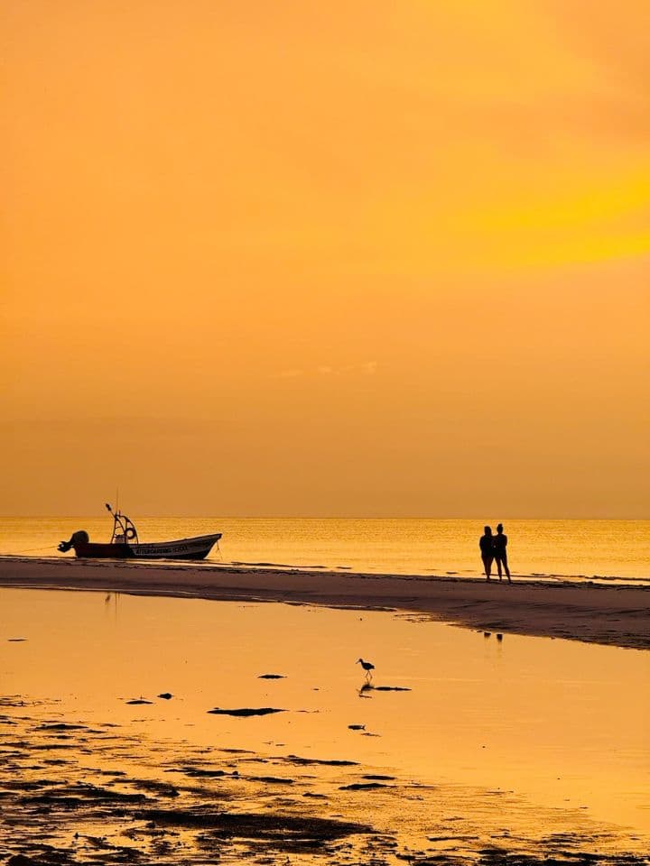 Image illustrant la section