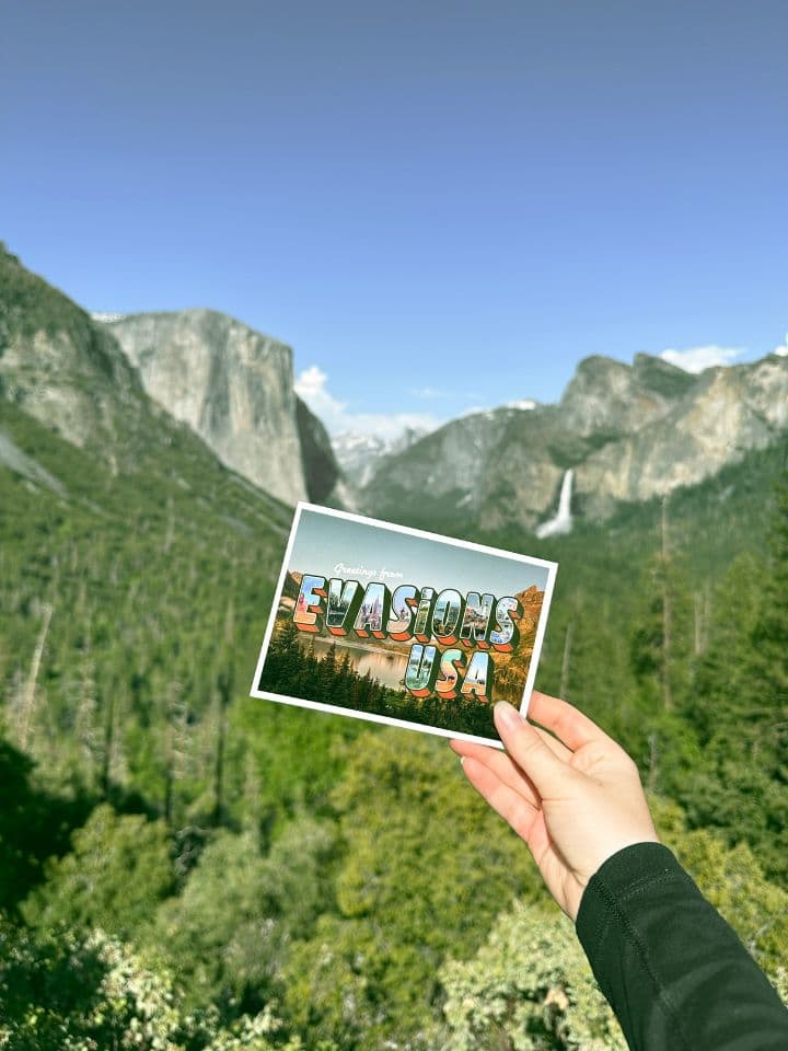 Image illustrant la section