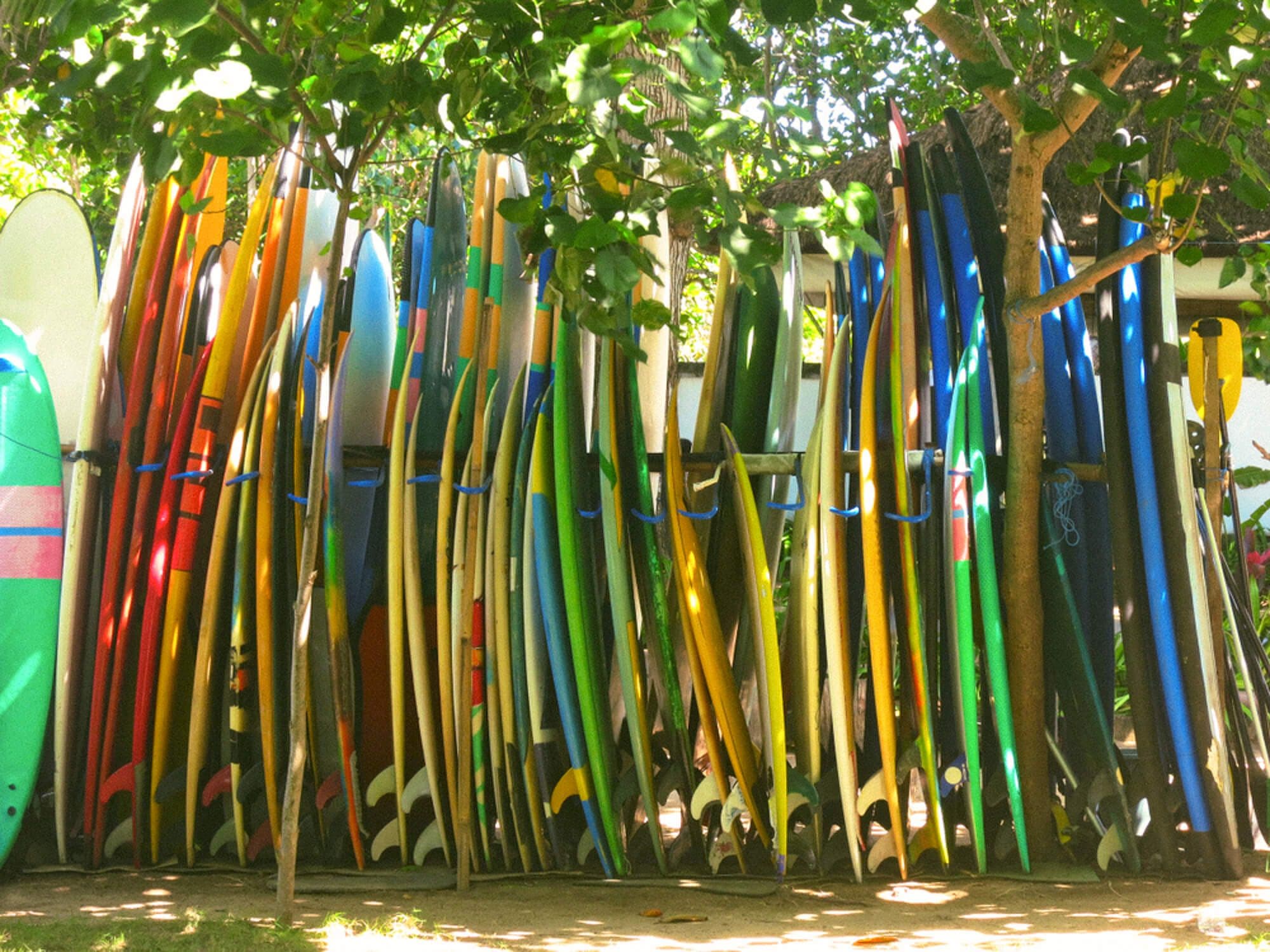 Planches de surf à Pai'a