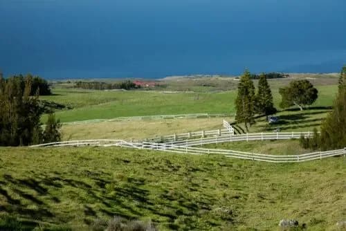 Parker ranch à Hawai