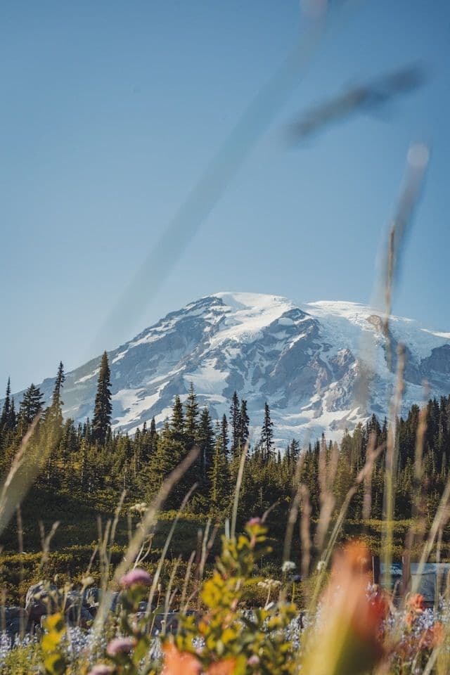 Mt Rainier National Park, Washington