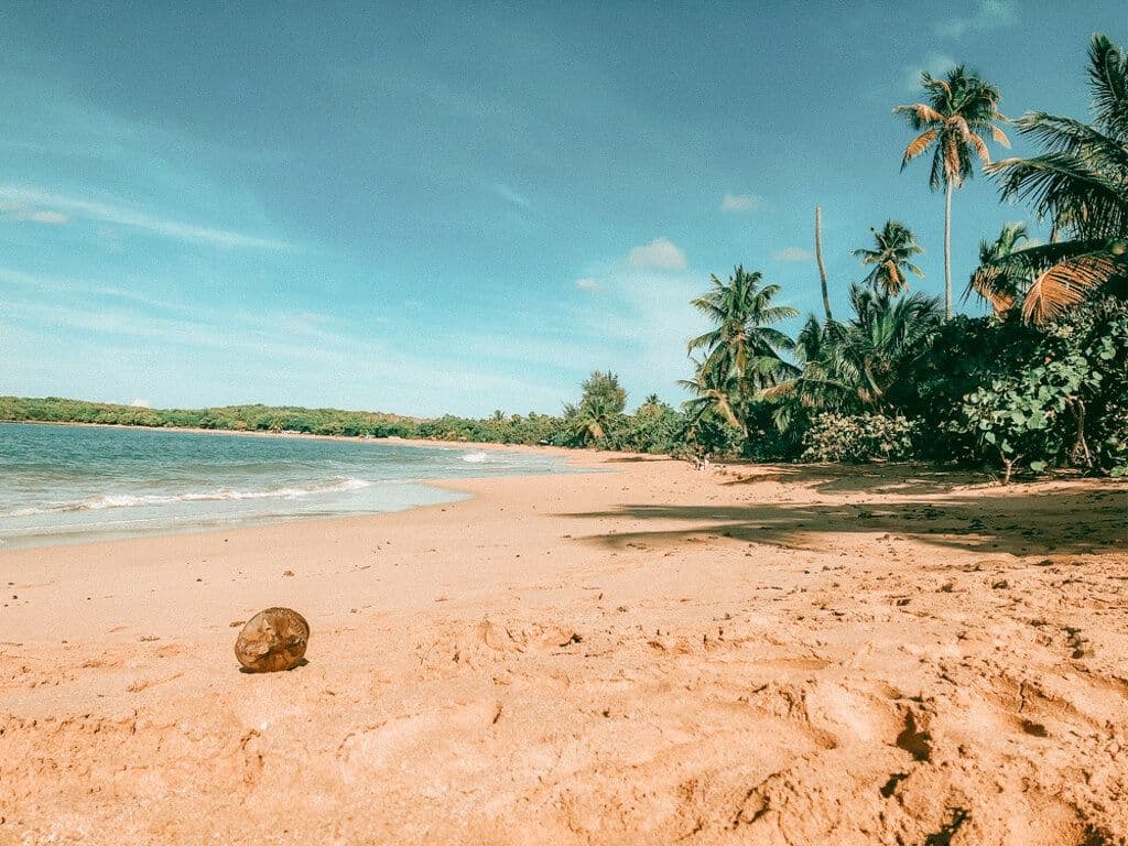 Image illustrant la section