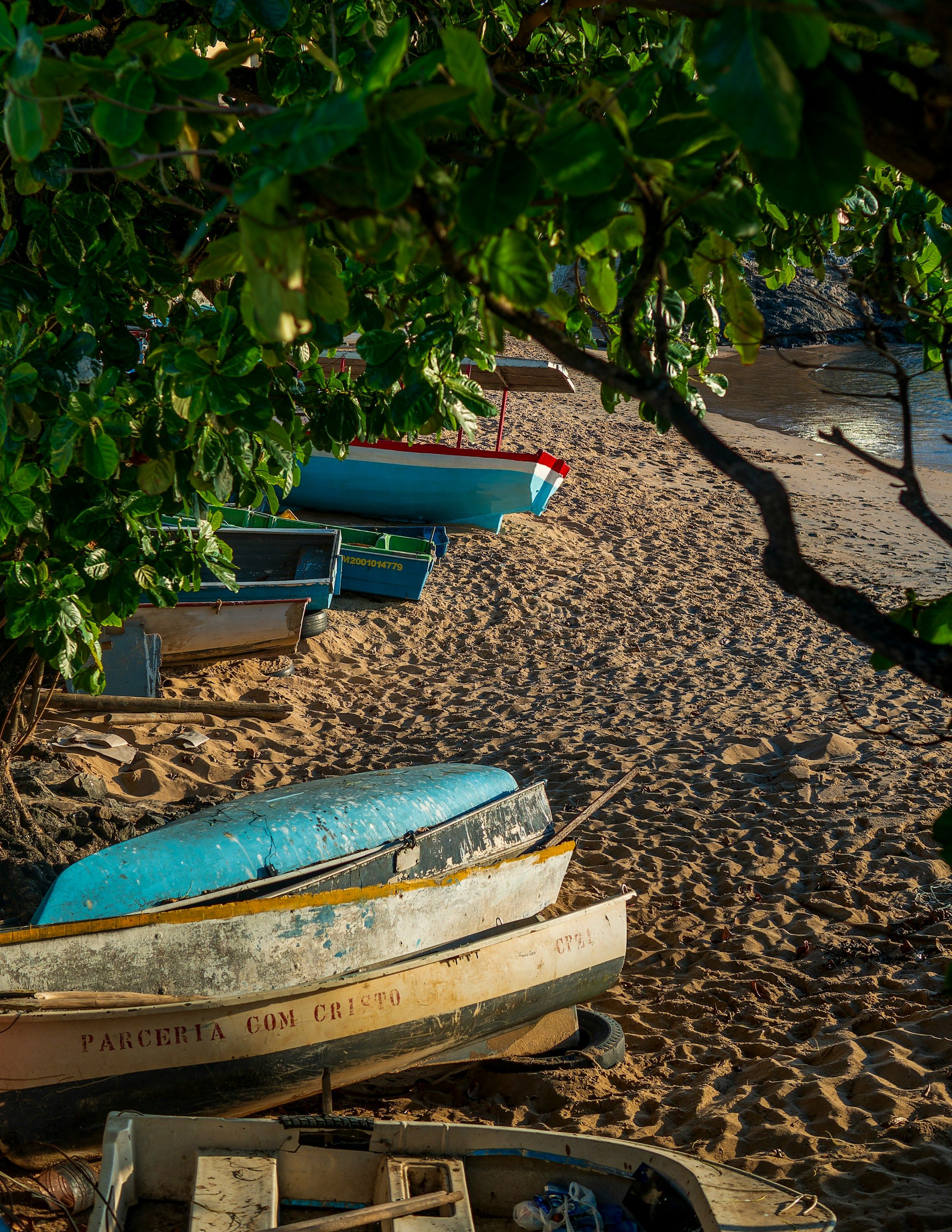 Photo illustrant le contenu de la page