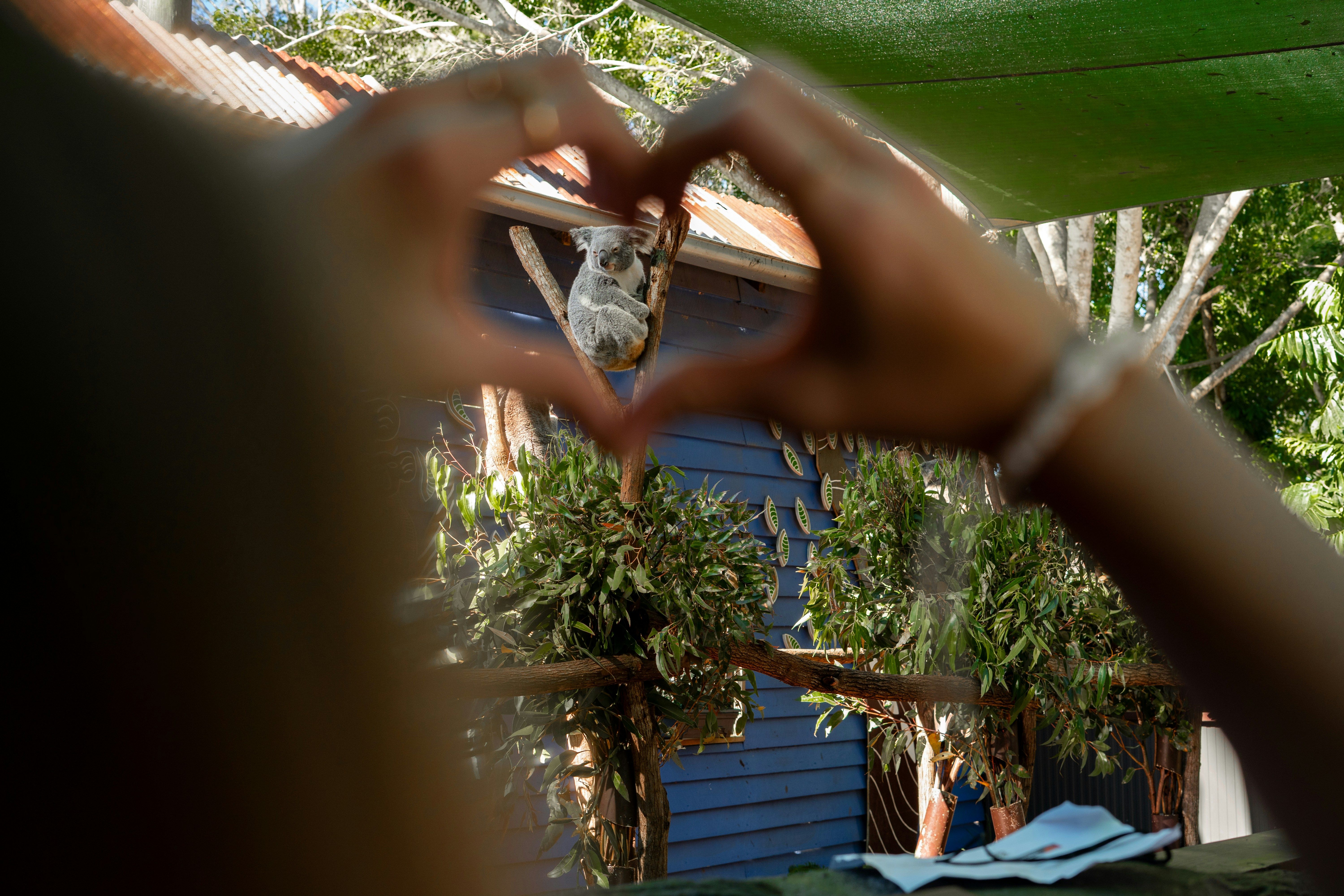 Photo illustrant le contenu de la page