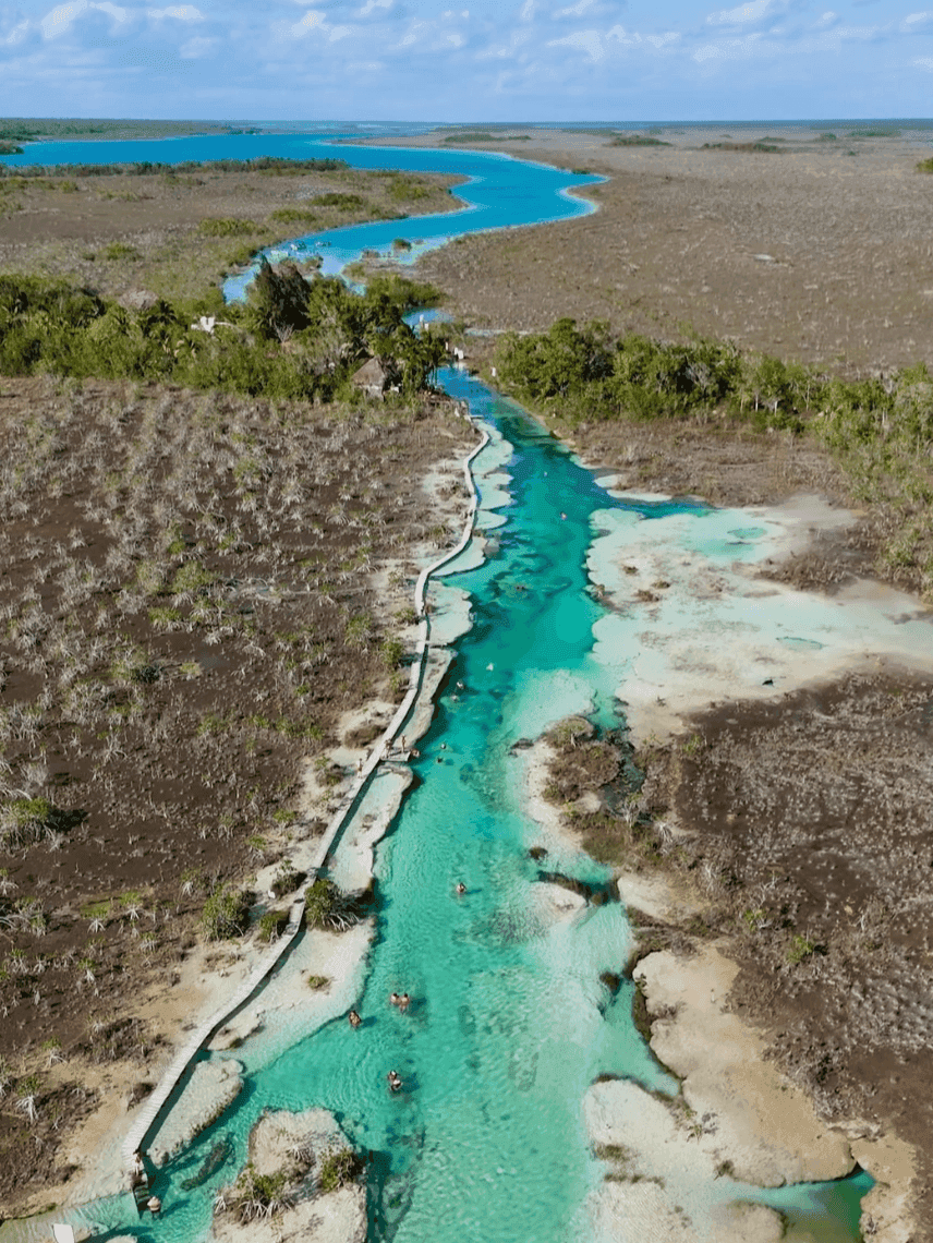 Bacalar