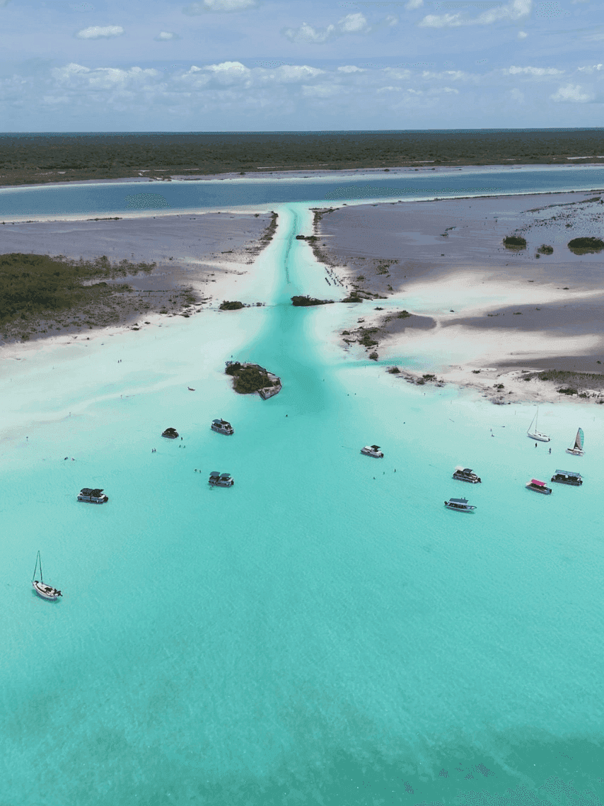 Bacalar