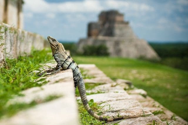 Uxmal, Mexique