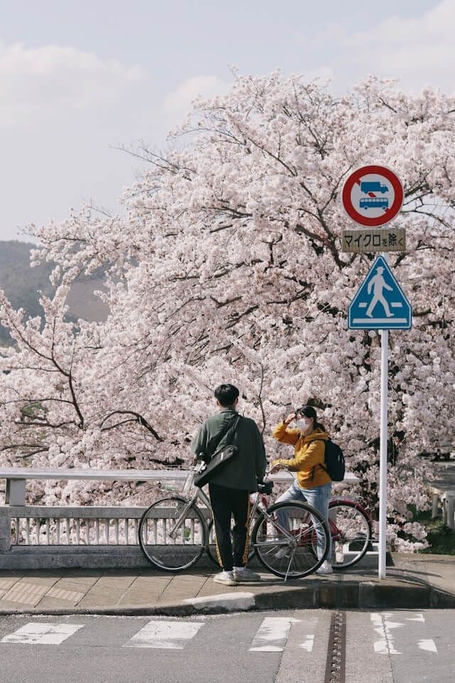 Printemps au Japon