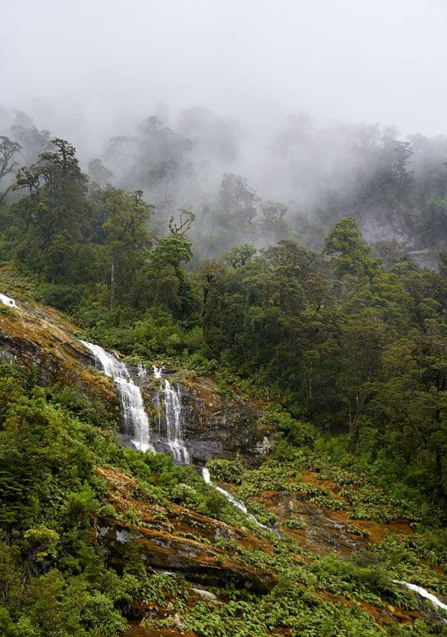Doubtful Sound